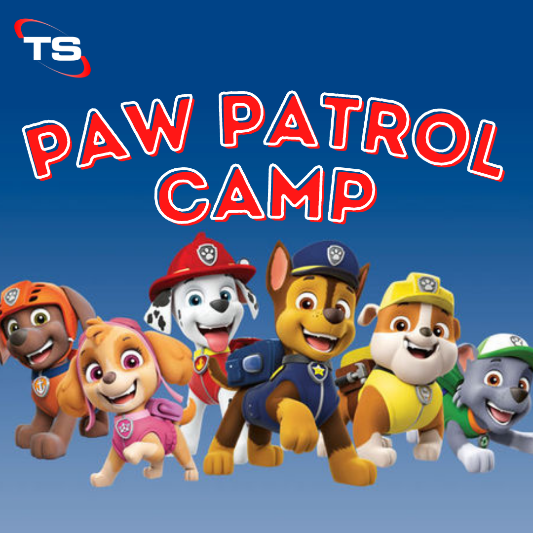 Paw Patrol Camp Twister Sports
